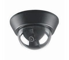 ENSTER CCD Dome camera