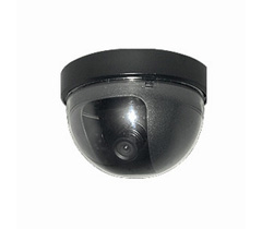 ENSTER Color Dome camera