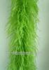 Ostrich Feather Boa