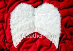 Feathers Angel Wings