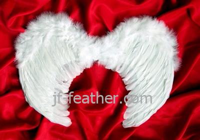 Feather Angel Wings