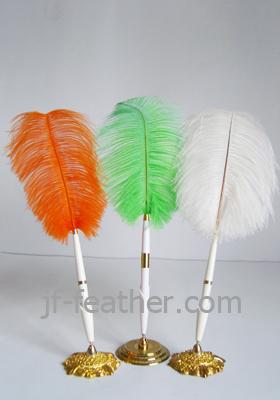 Ostrich Feather Quill