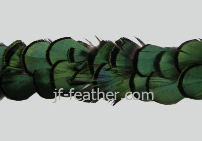 pheasant feather trim