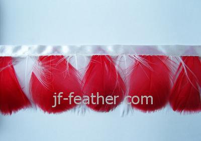 Feather Trimming