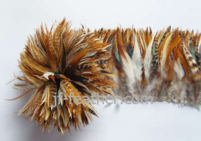 china natural Cock Feather