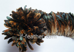 Cock Feather