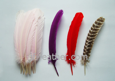 Feather Christmas Product
