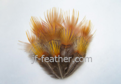 Feather Flowers