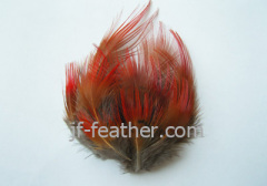 Feather Breast Flower