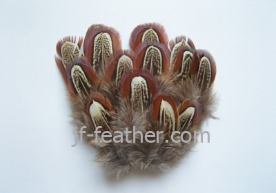 fashion feather pad