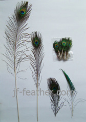 Peacock Feather Product