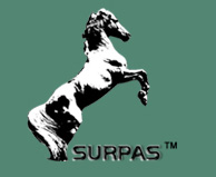 Ningbo Surpas Equestrian Co.,Ltd.