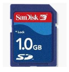 SD Memory Card