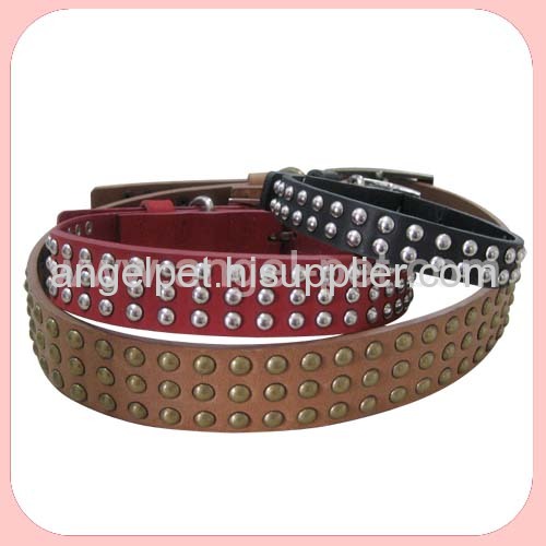 studs collar