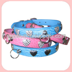 dog shock collar