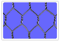 Stone Cage Wire Mesh