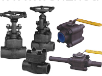 Valves forged steel series (WZIPIE)