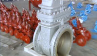 WZIPIE -Gate Valves