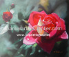 flower oil painting