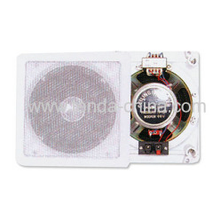 ceiling speaker / wall speaker
