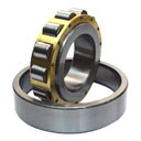 Cylindrical Roller Bearing