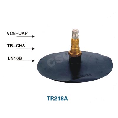 TR218 tire valve