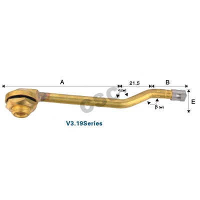 Tubeless Clamp-in valve