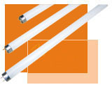 T5 Fluorescent Lamp