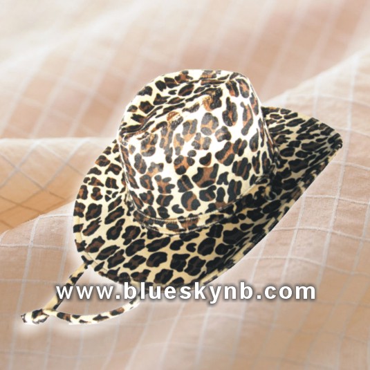 Fashionable dresses Cap