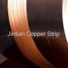 High Precision Phosphor Bronze Strip