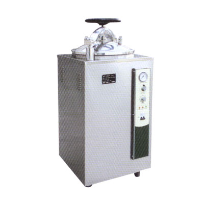 Vertical steam autoclave