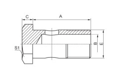 BSP Bolt