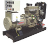 Diesel Generator