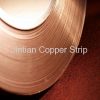 High Precision Phosphor Bronze Strip