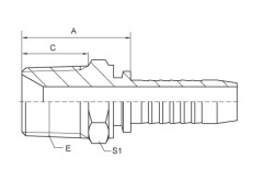 BSPT MALE