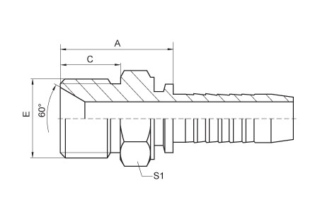 BSPT Male 60°Cone Seat