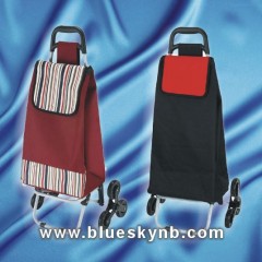 Shopping Trolley   Bag