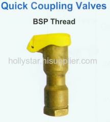 Quick Coupling Valve