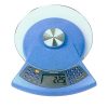 Electronic Kitchen Scale