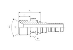 BSP Male 60°Cone Seat