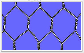 Hexagonal  netting