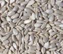 Sunflower Seed Kernel