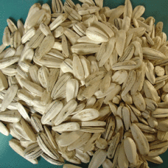 sunflower seeds