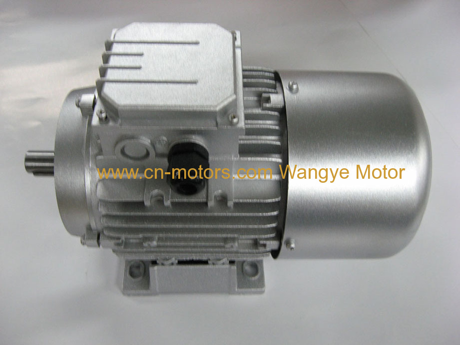 Single-Phase Induction Motor