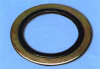 Graphite Spiral Wound Gasket