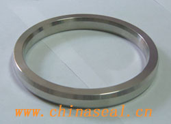 Ring Joint Gasket