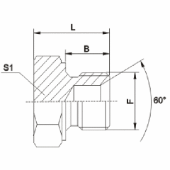 Metric Male Double USE For 60°Cone Seat OR Bonded Seal Plug