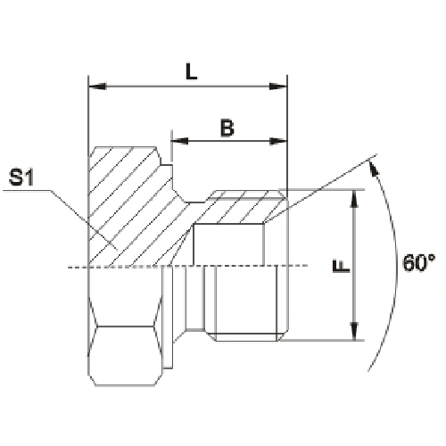 Metric Male Double USE For 60°Cone Seat OR Bonded Seal Plug