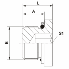 Metric Male L-Series Hollow Hex Plug