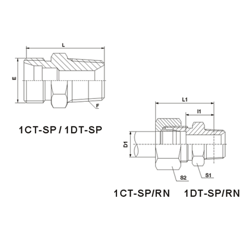 BSPT MALE